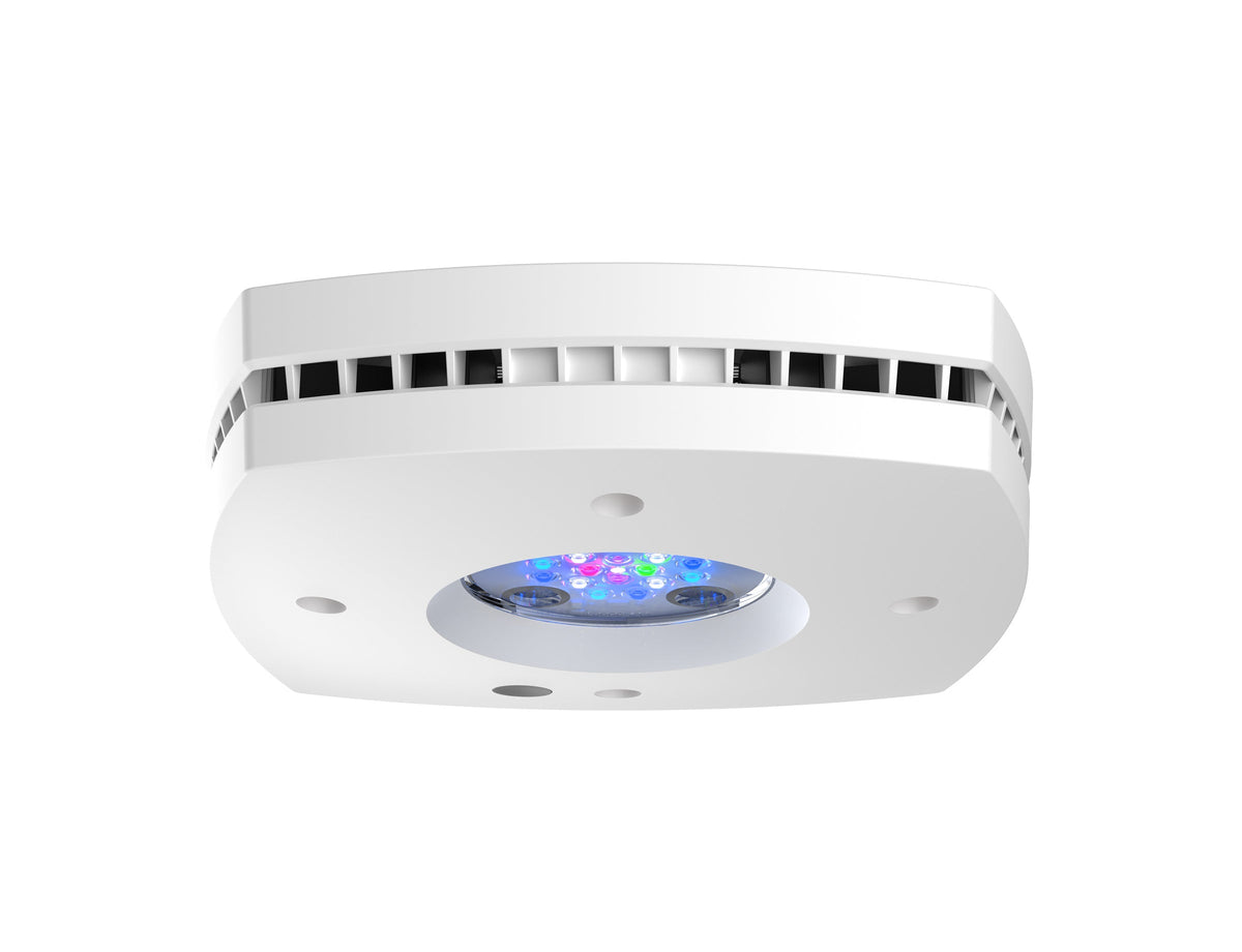 AI Prime 16HD REEF LED Modul Montage Bundle
